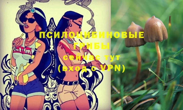 COCAINE Вязники
