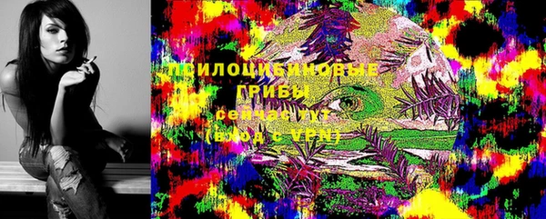 таблы Вяземский