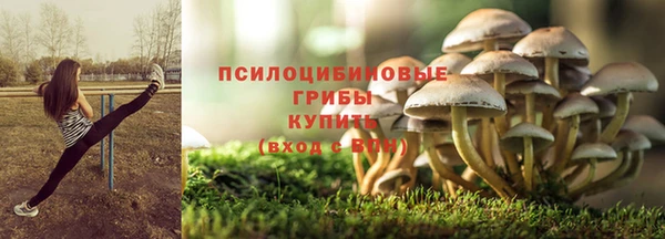 таблы Вяземский