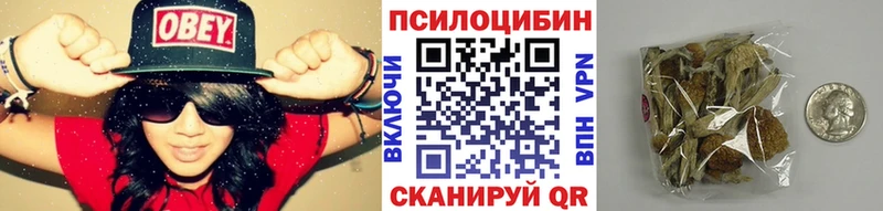 Псилоцибиновые грибы Psilocybine cubensis  Купить где  Петропавловск-Камчатский 